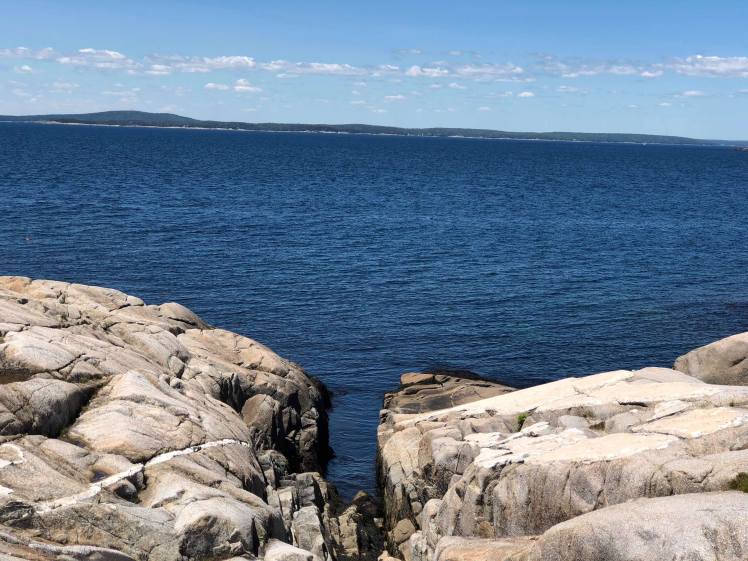 37958074_10155675009446658_8253376878761476096_n