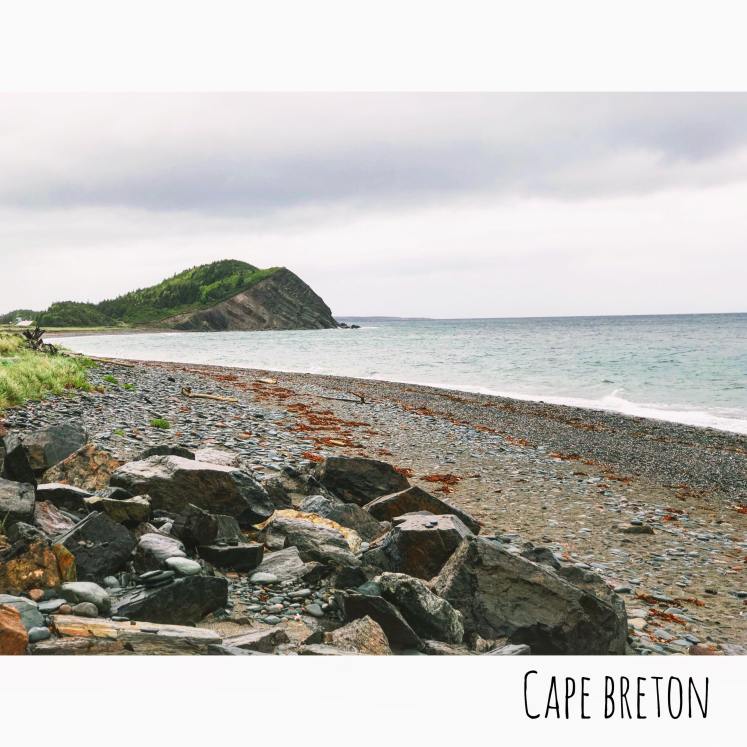 38022840_10155681942686658_1845008239716990976_n