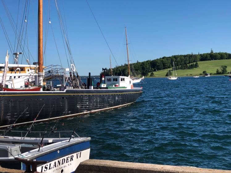 38026247_10155675012731658_2284964954144505856_n