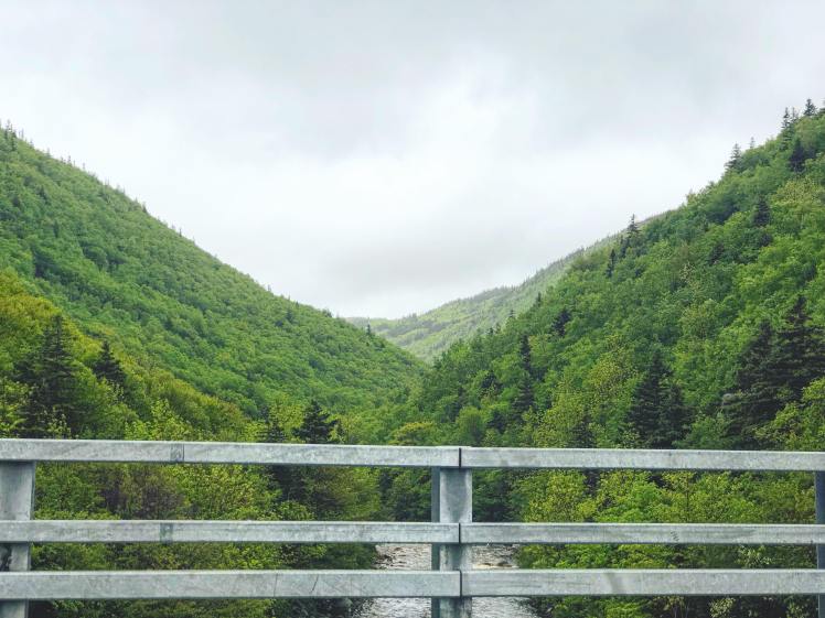 38213720_10155681943011658_2394515856034889728_n