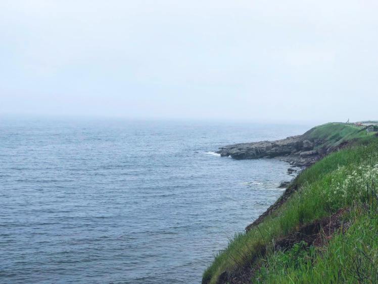 38223037_10155681257221658_4074918464815366144_n