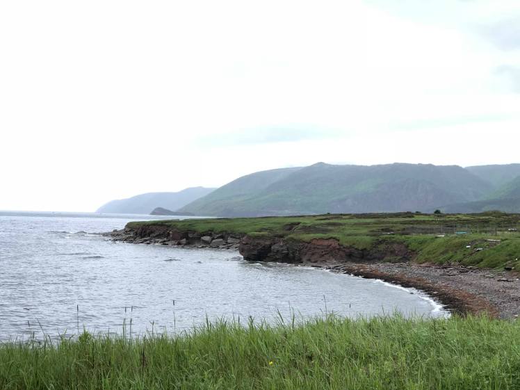 38249966_10155681257661658_3482596917978857472_n