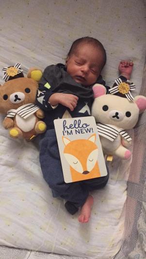 51513488_2177994832513156_6197802120691843072_n