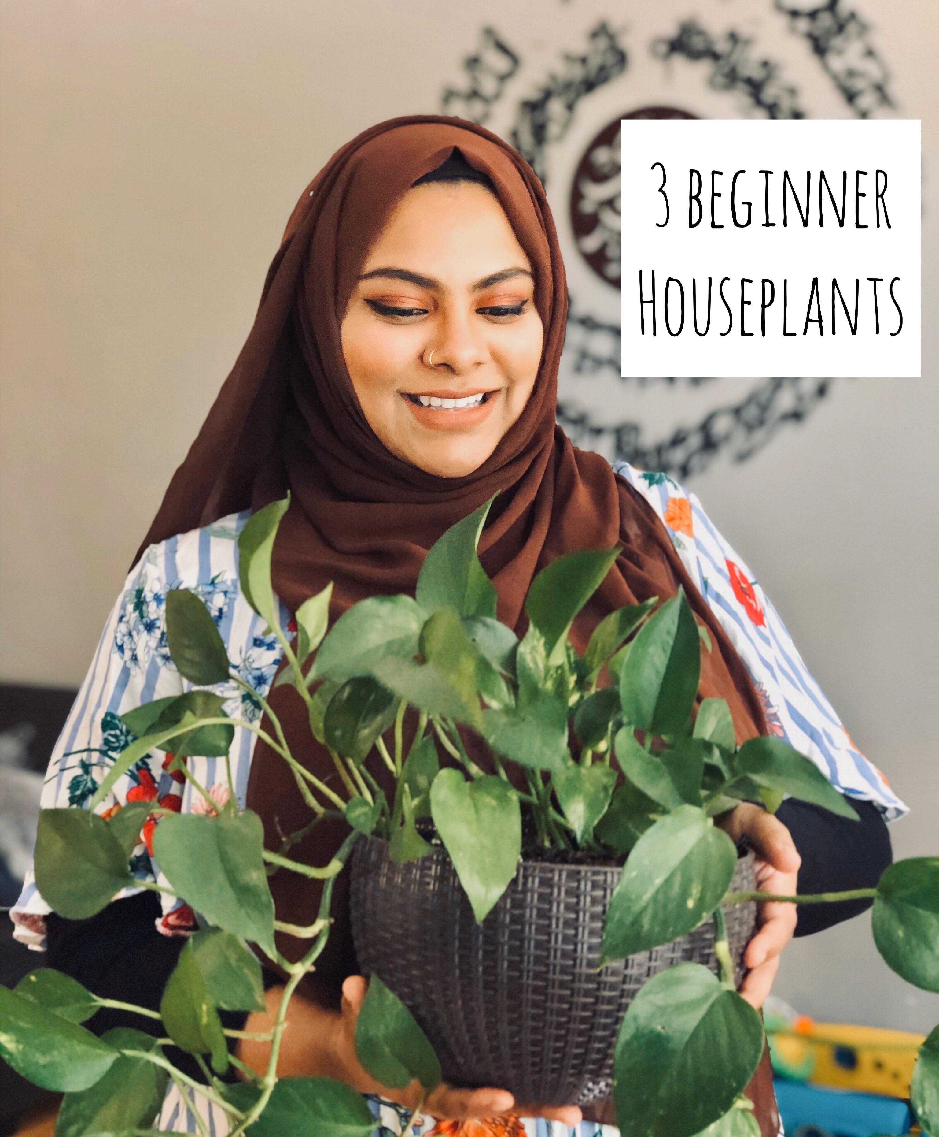 104250772_2322018748100371_2670318510638879965_n